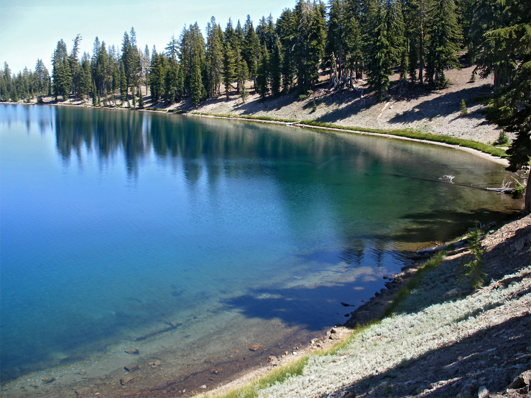 Edge of Shadow Lake