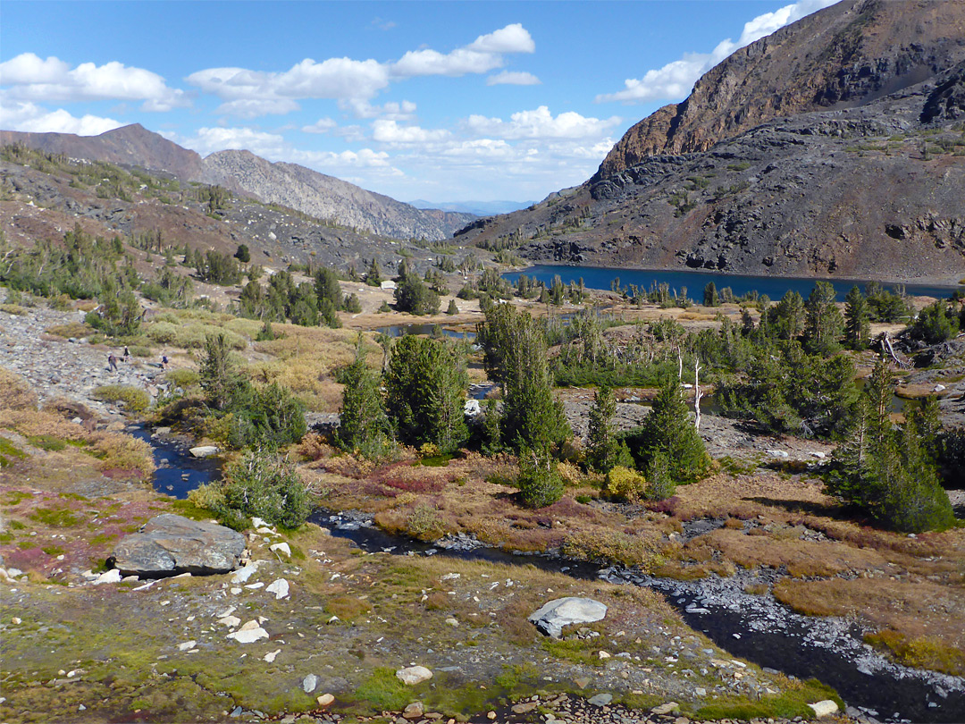 Stream from Shamrock Lake