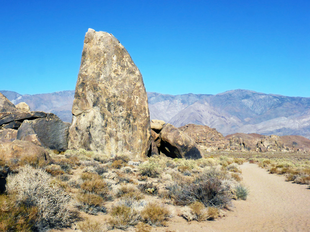 West side of the fin