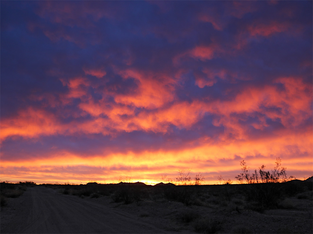 Orange sunrise