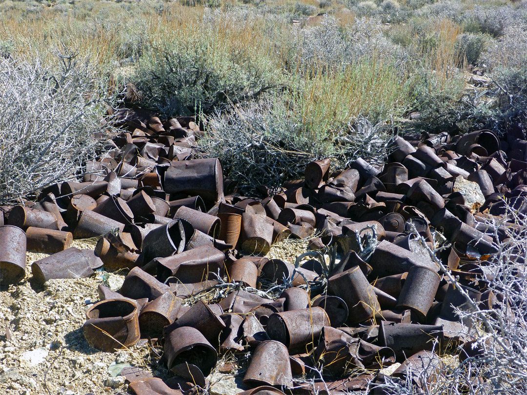 Rusty cans