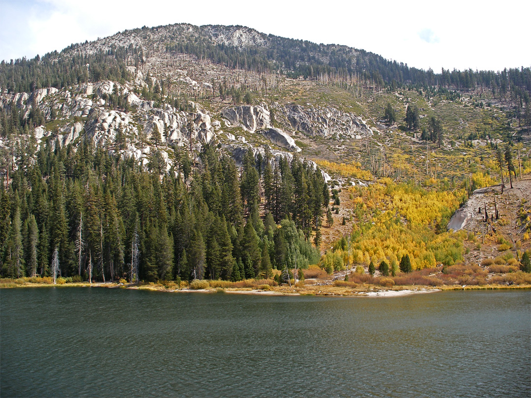 Sotcher Lake