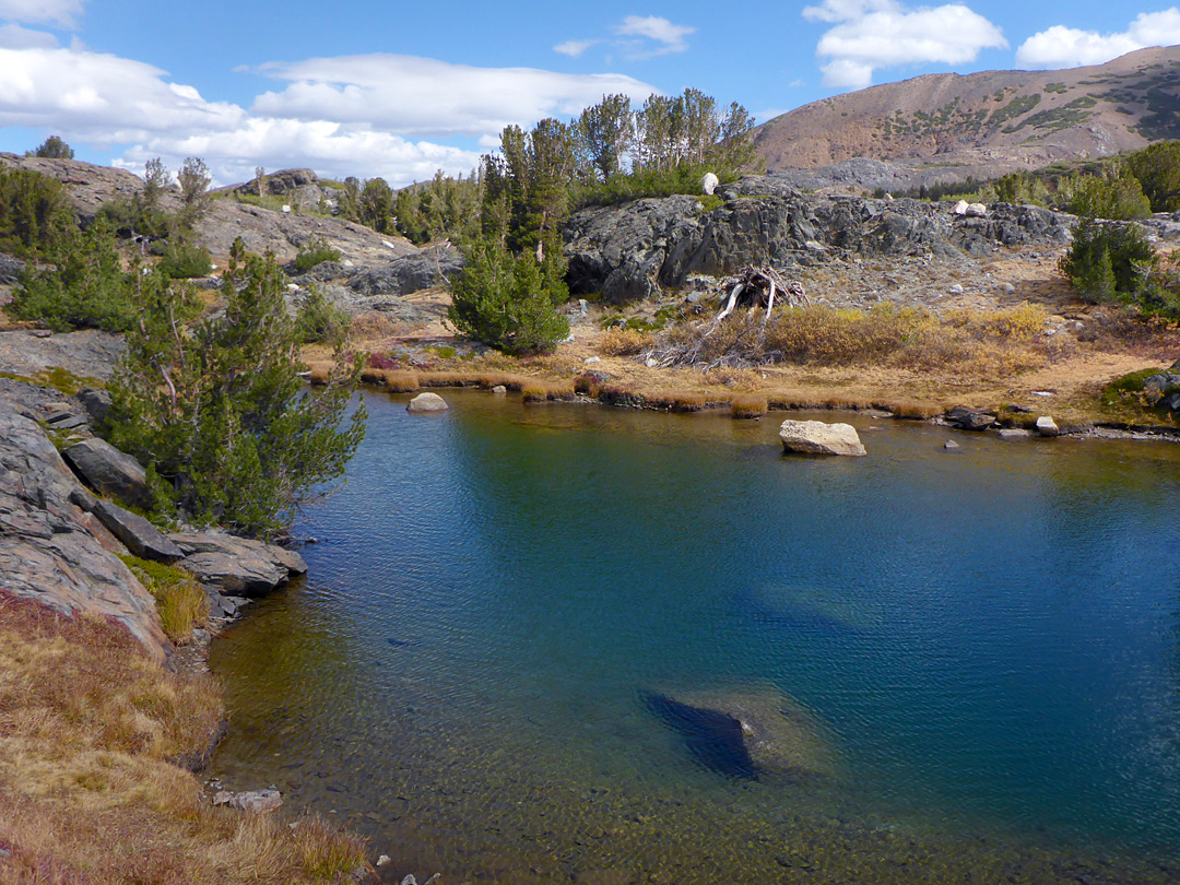 Pond near Steelhead Lake