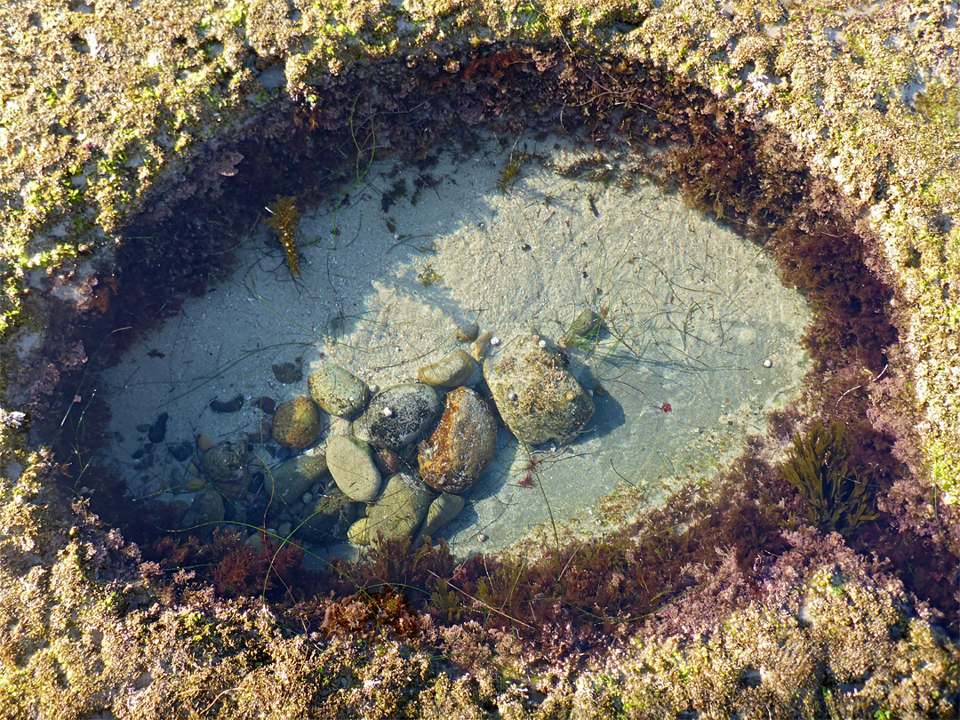 Stones in tide pool