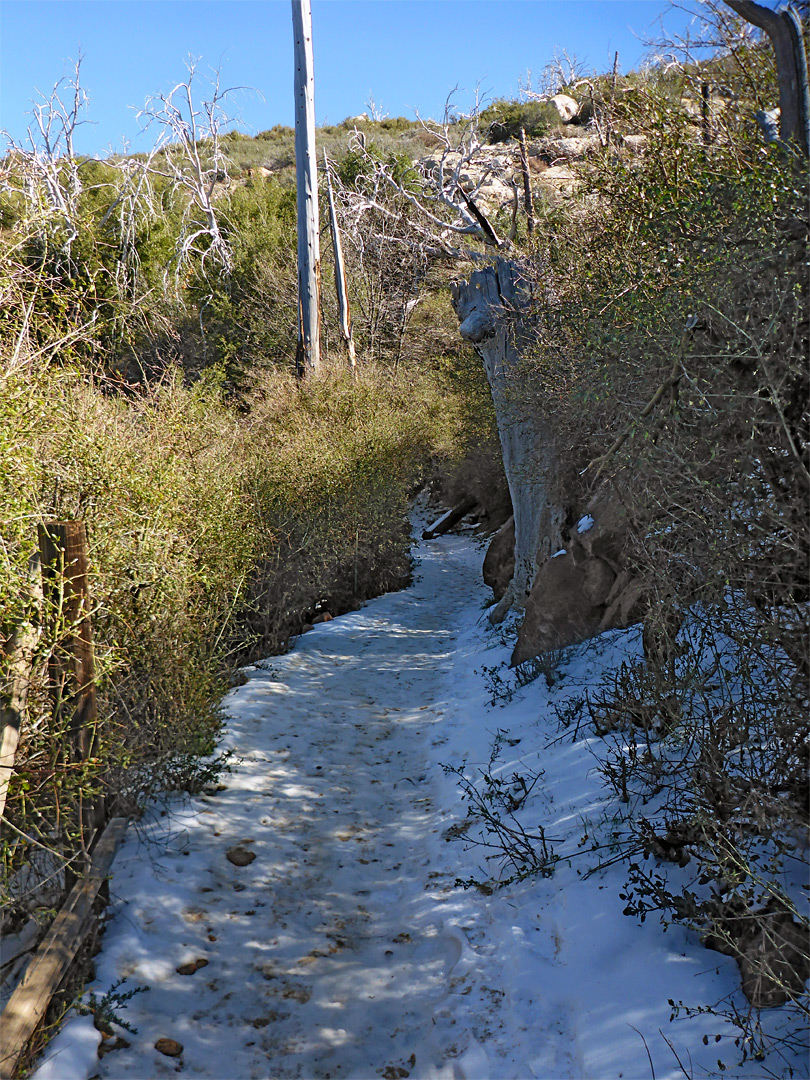Snow-covered path: Stonewall Peak Trail, Cuyamaca Rancho State Park ...