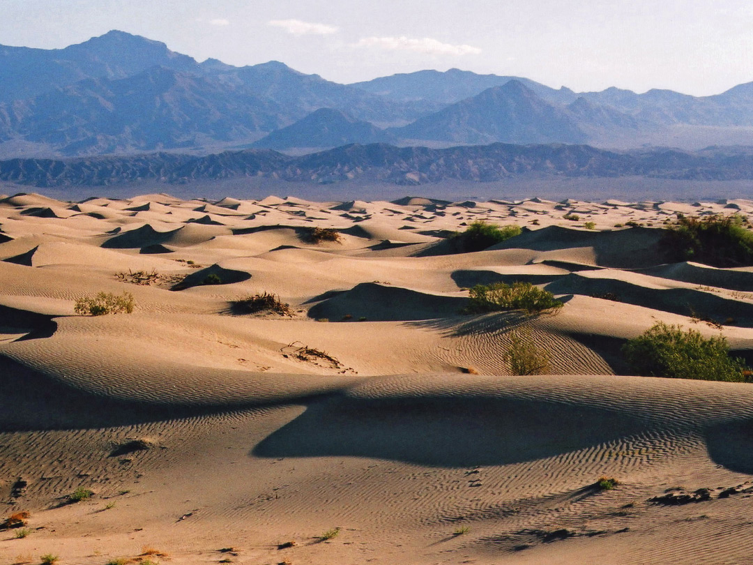 Stovepipe Dunes