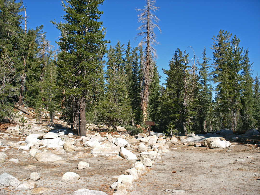 Junction on the Sunrise Trail