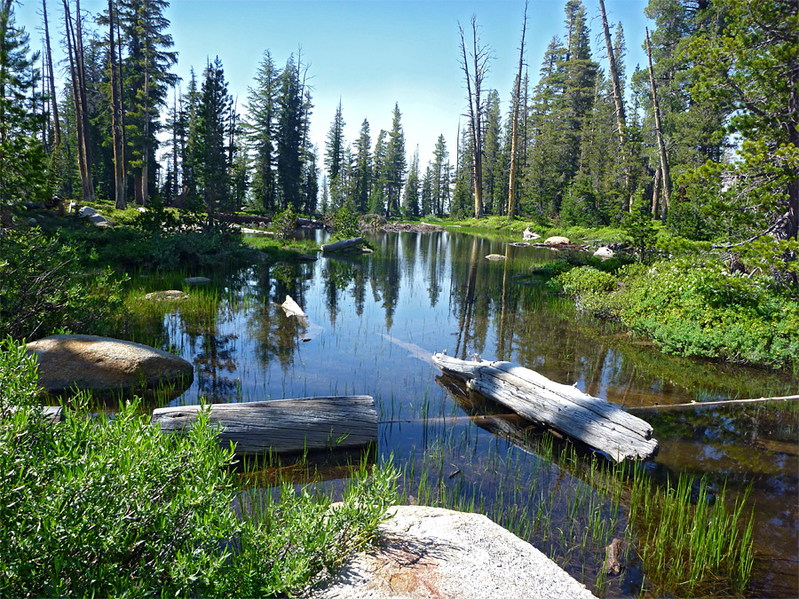 Shallow pond