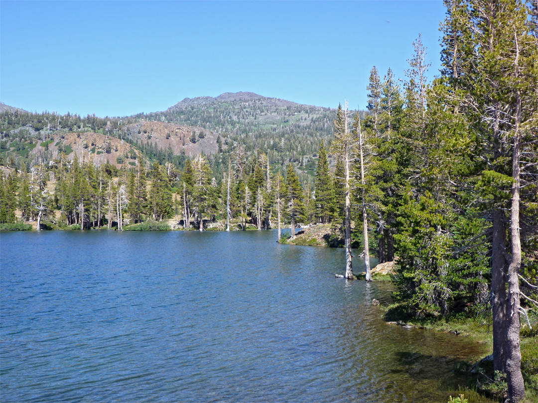 Edge of Susie Lake