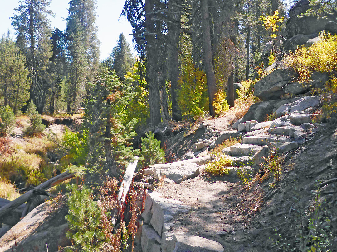 Steps along the trail