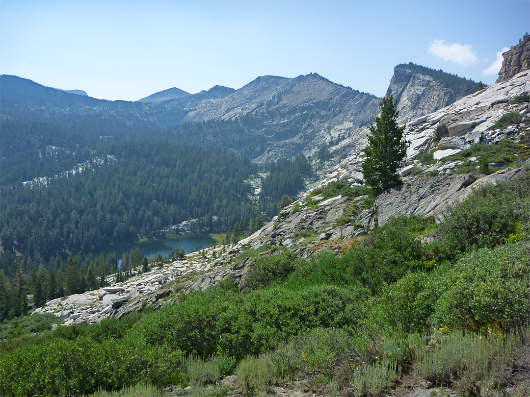 Bushy slopes