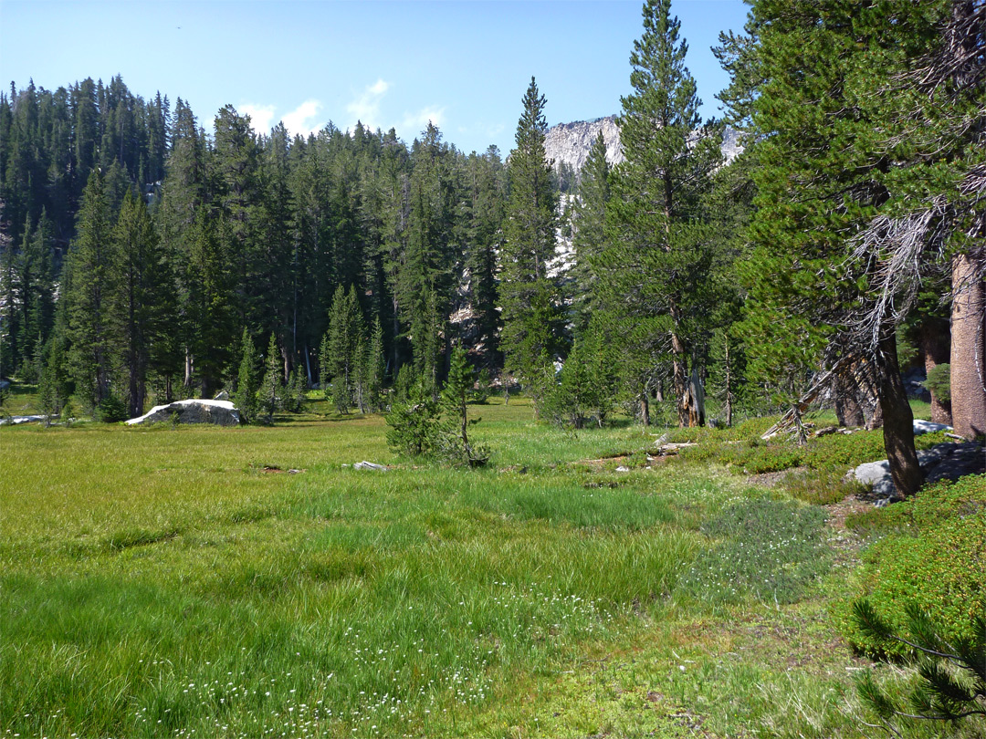 Trail along a meadow