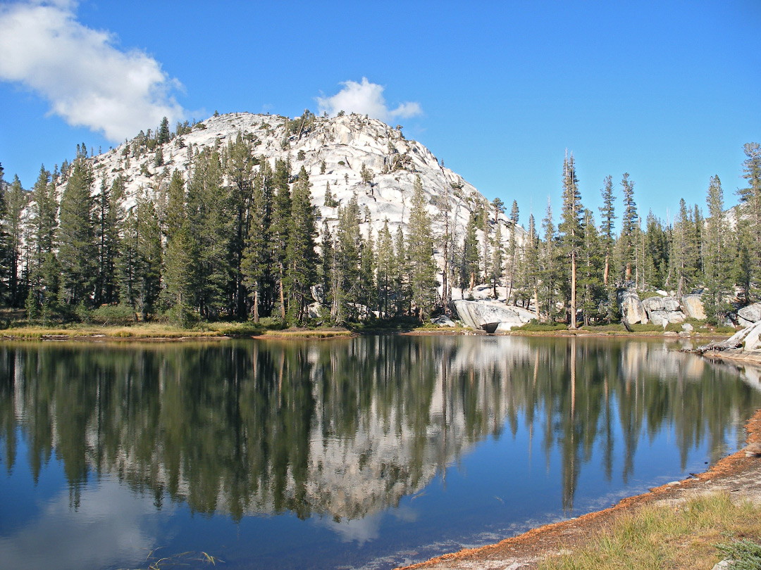 Pond on the trail