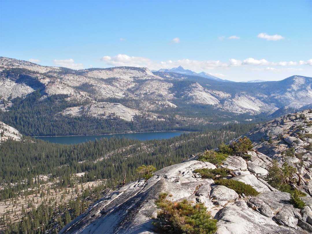 View south to Tenaya Lake