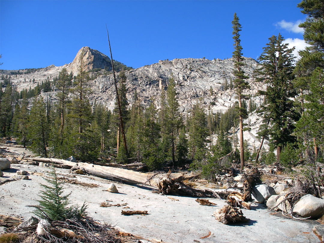 The trail, north of May Lake