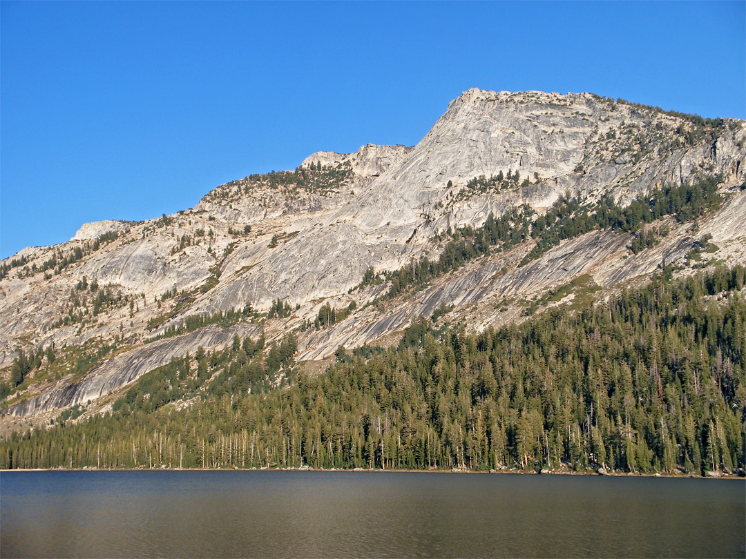 Tenaya Peak