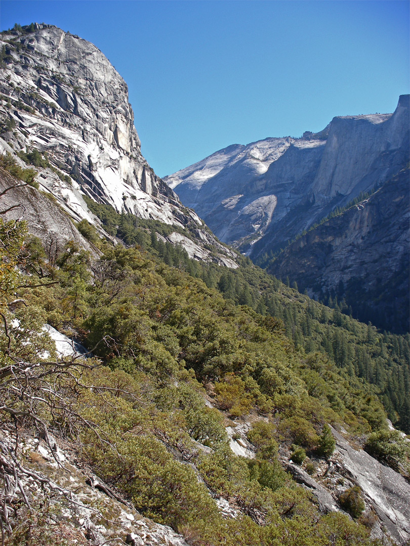 Edge of Tenaya Canyon