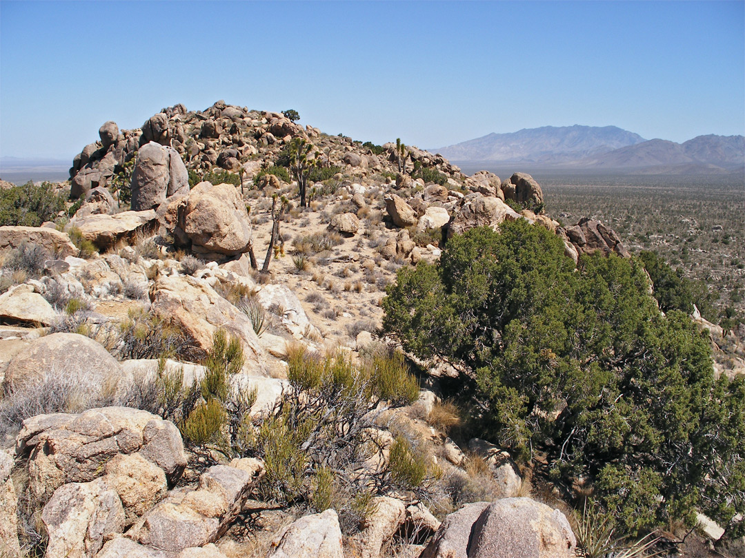 View north from Teutonia Peak