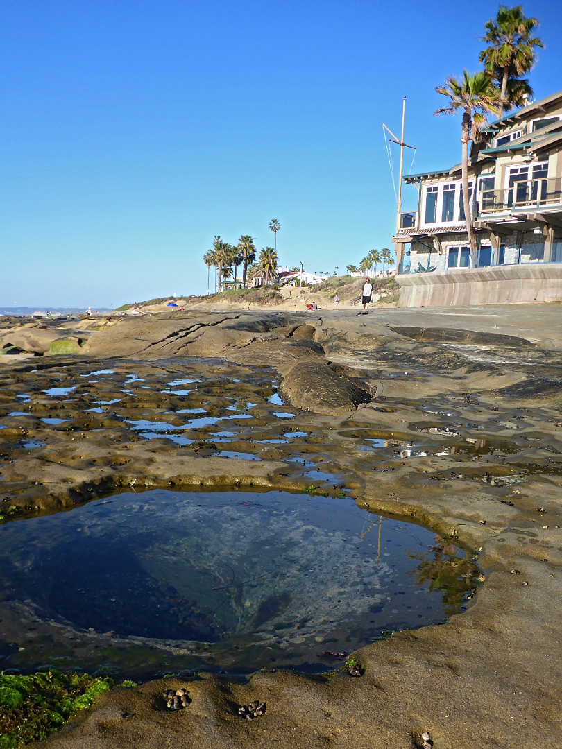 Pools and palms