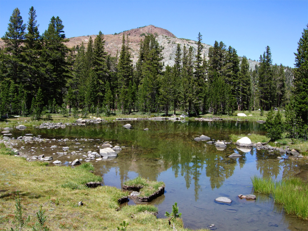 Pool near Tioga Pass