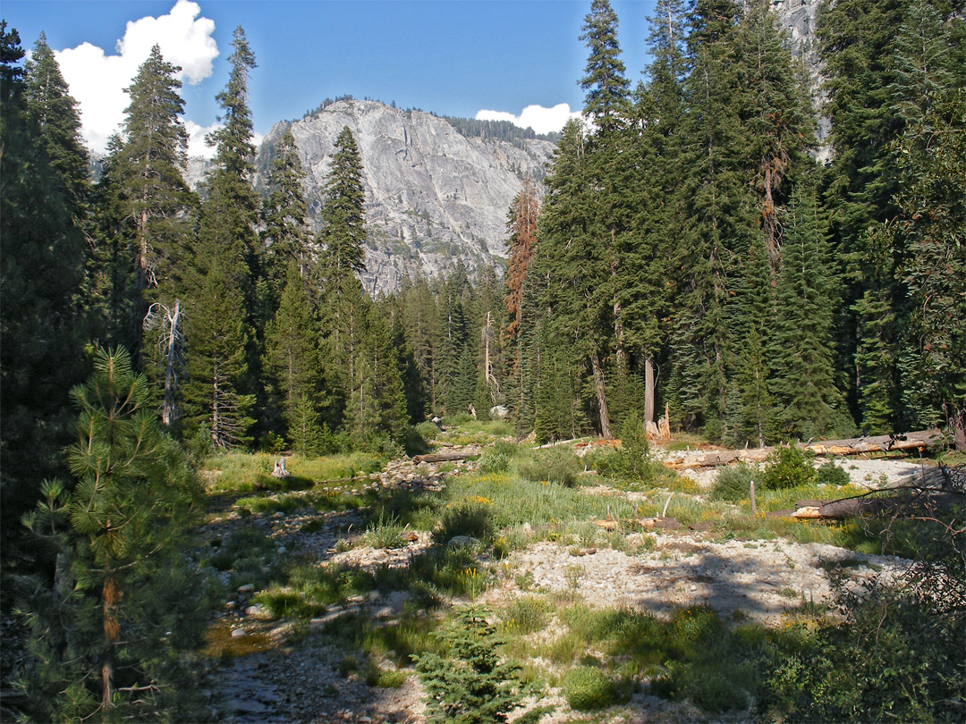 Tokopah Valley