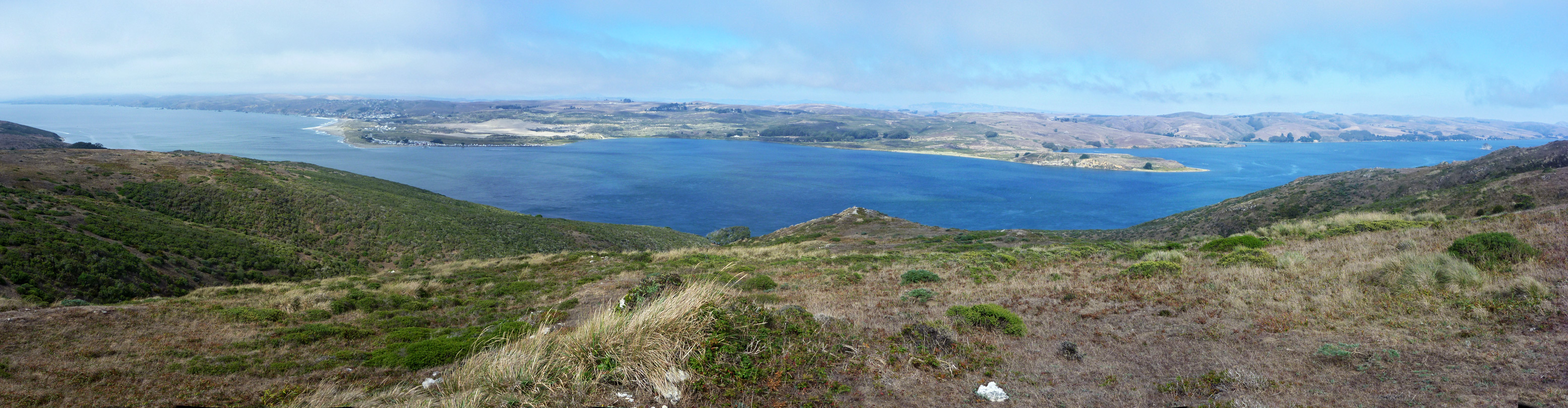 Northern end of Tomales Bay