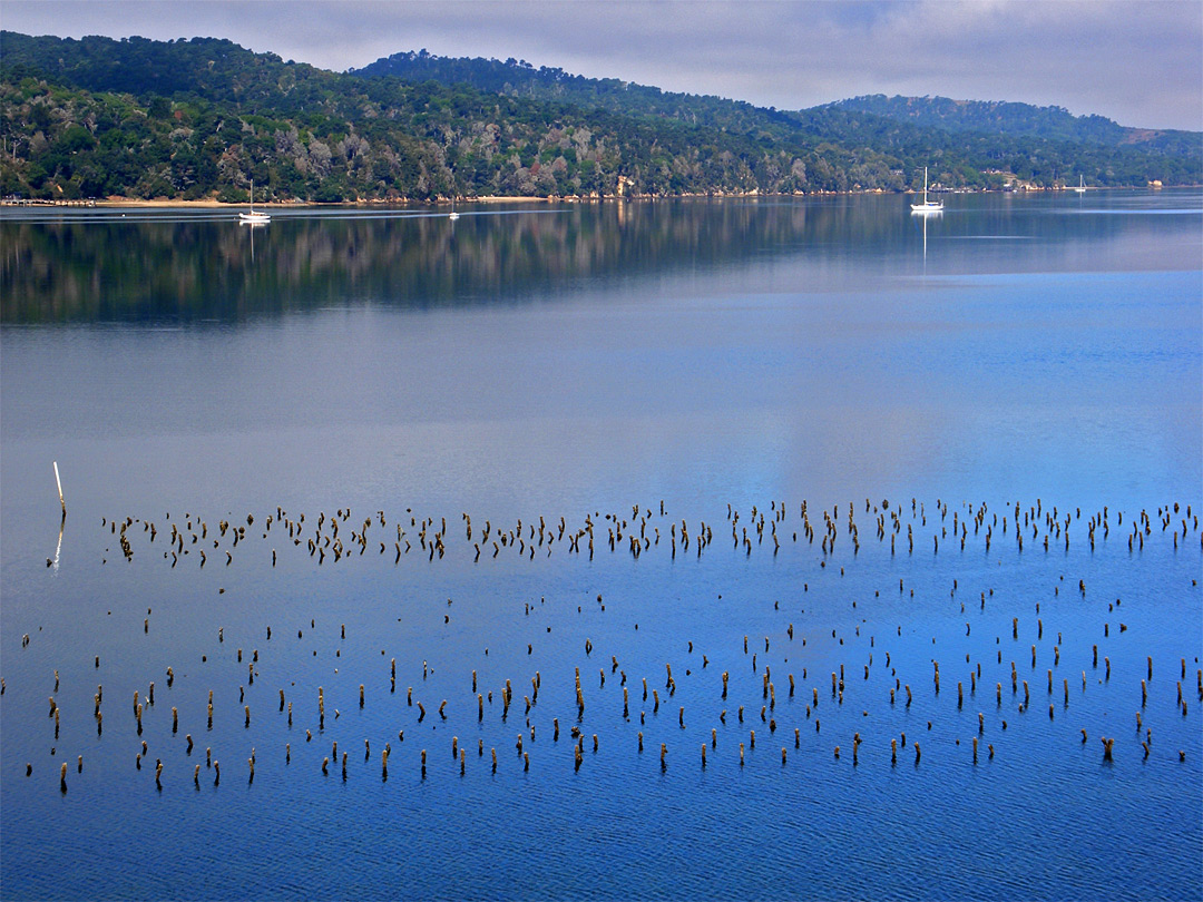 Posts in the water