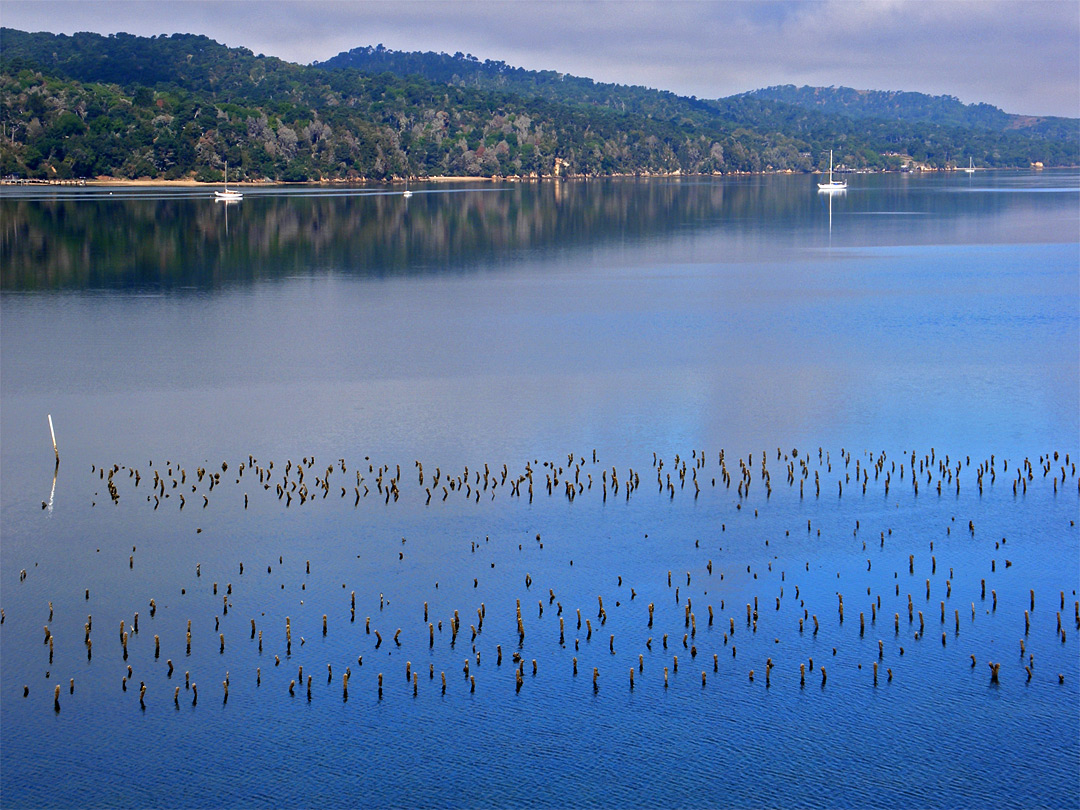 Posts in the water