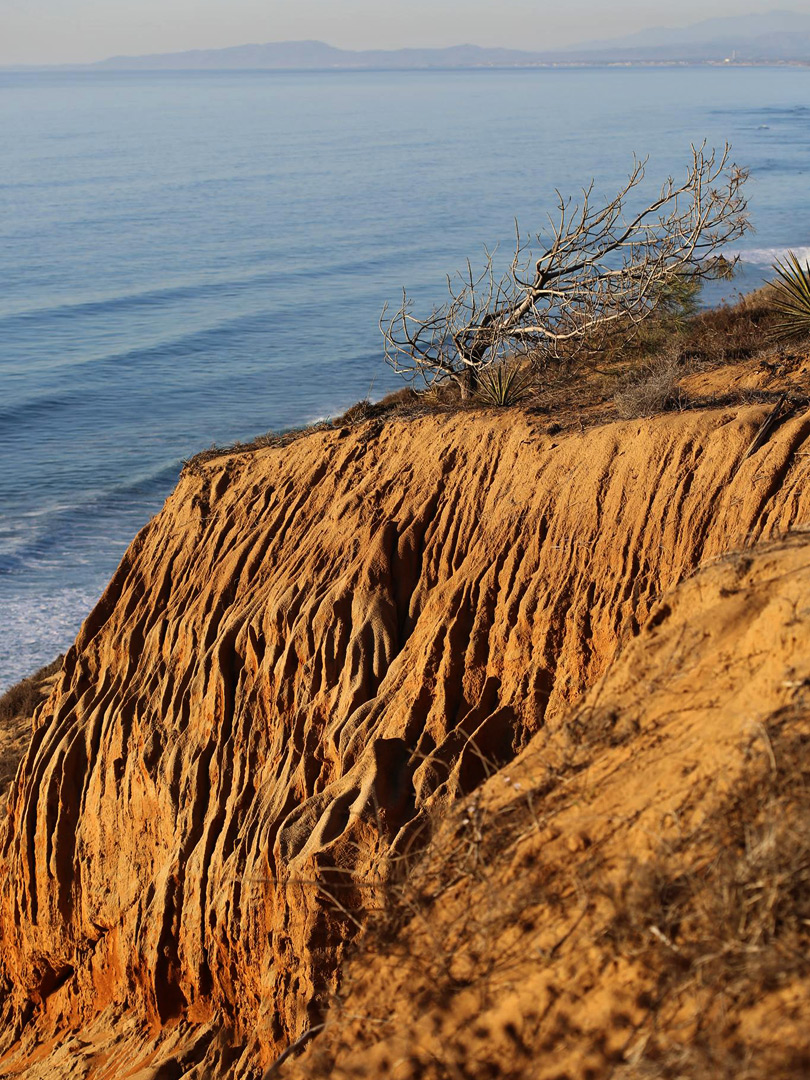 Oceanside cliff