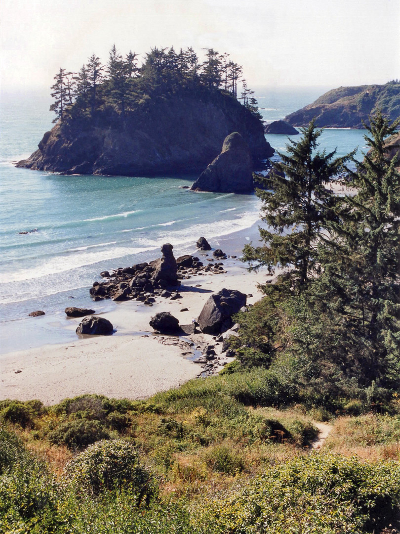 Hillside above the beach