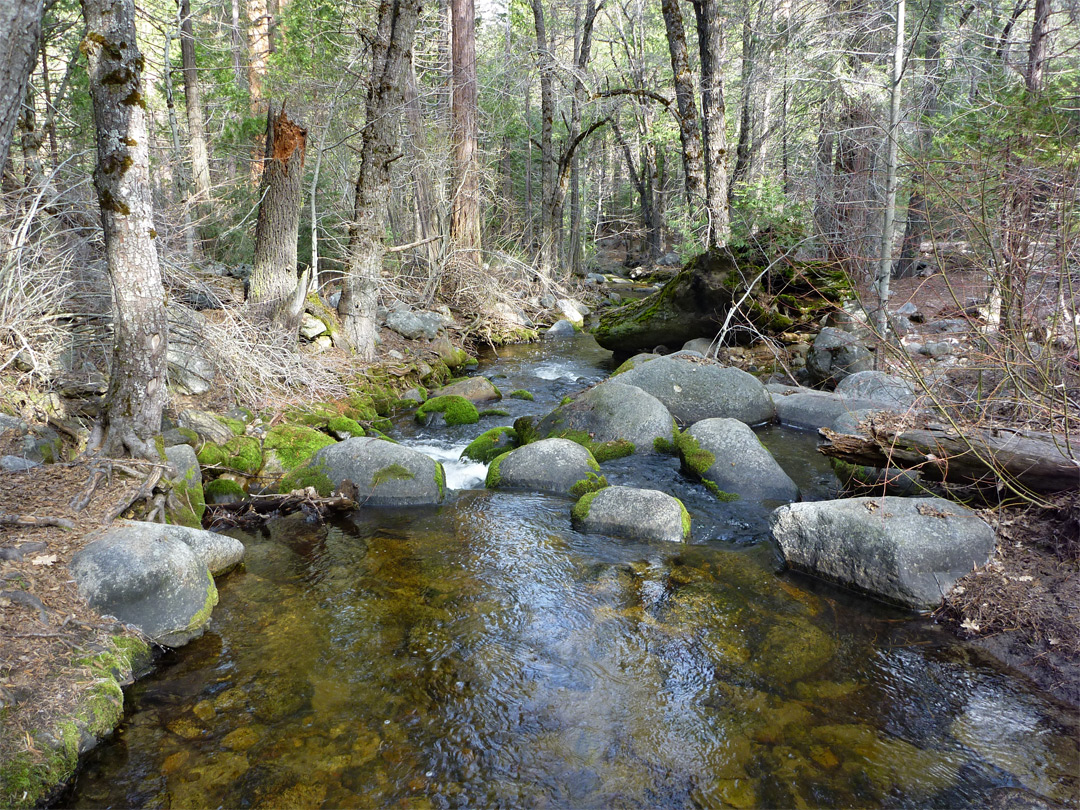 Middle Fork of the Tule River