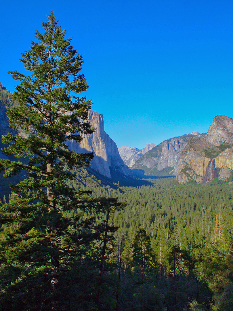 Tunnel View