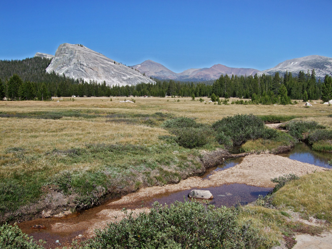 Stream across Tuolumne Meadows