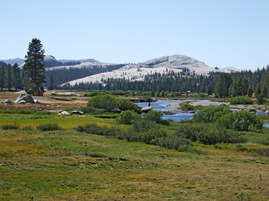 Tuolumne Meadows