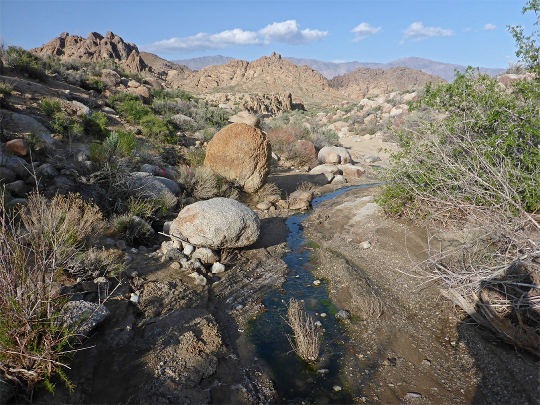 Stream beside Movie Road