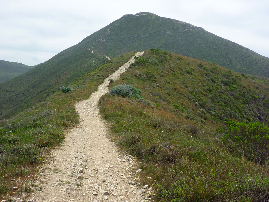 Valencia Peak Trail