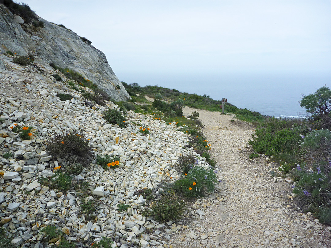 Path at the top of Valencia Peak