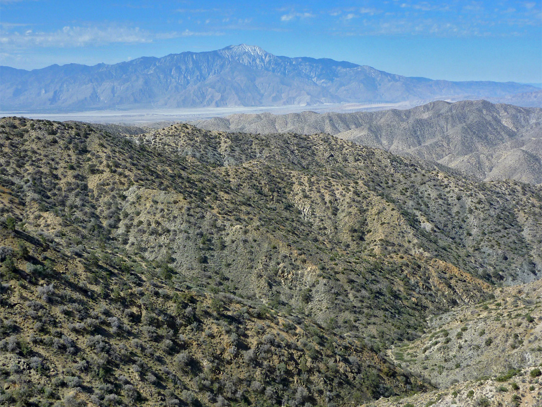 San Jacinto Mountains