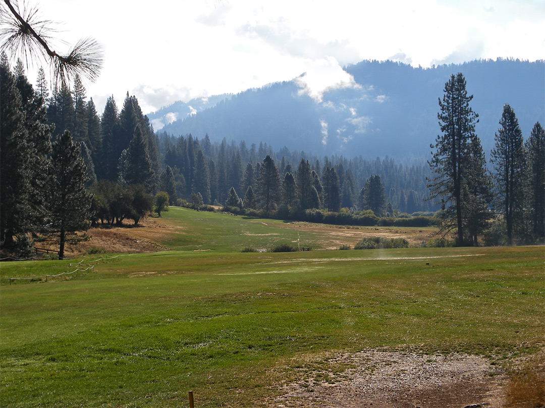 Wawona Meadow