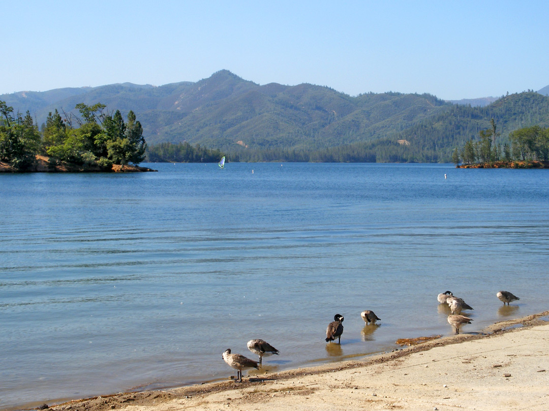 Beach on Whiskeytown Lake