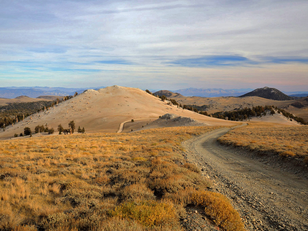 Undulating hills