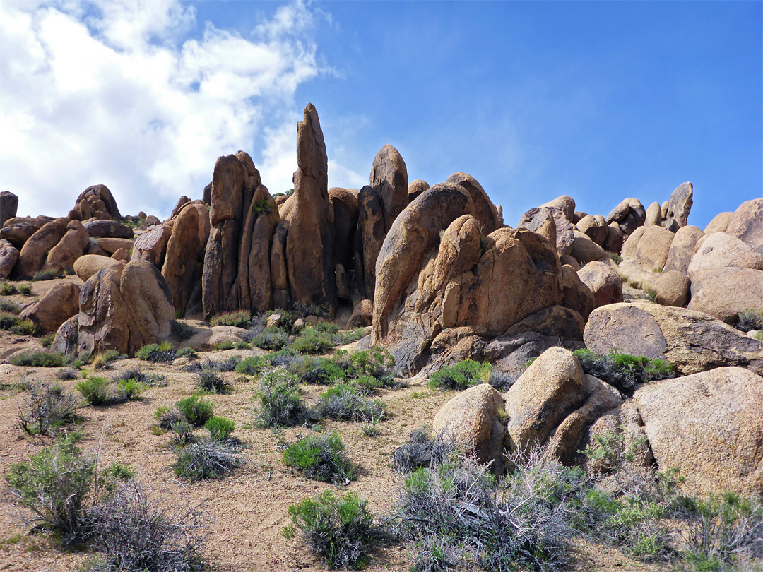 Many boulders