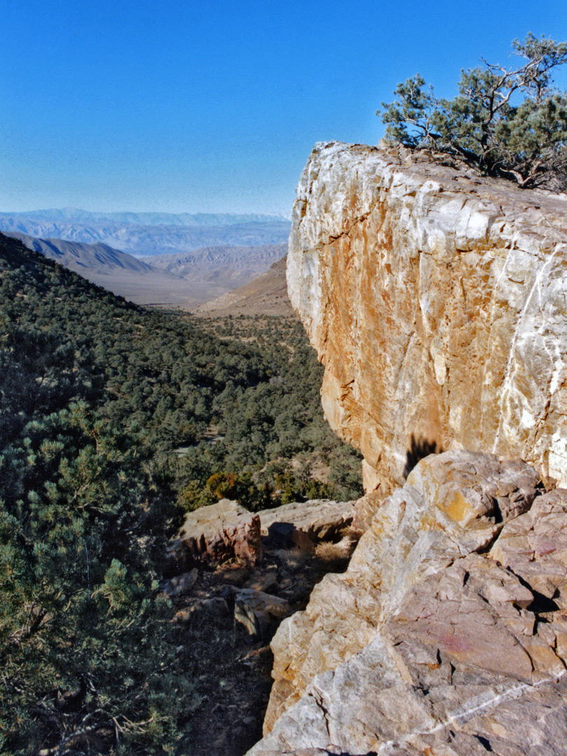 Start of the Wildrose Peak trail