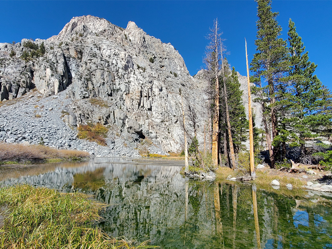Reflections on Willow Lake