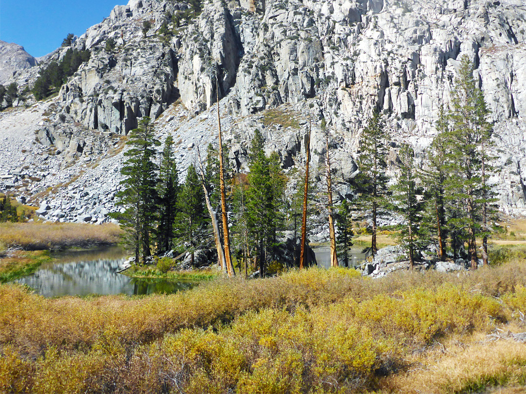 Island in Willow Lake