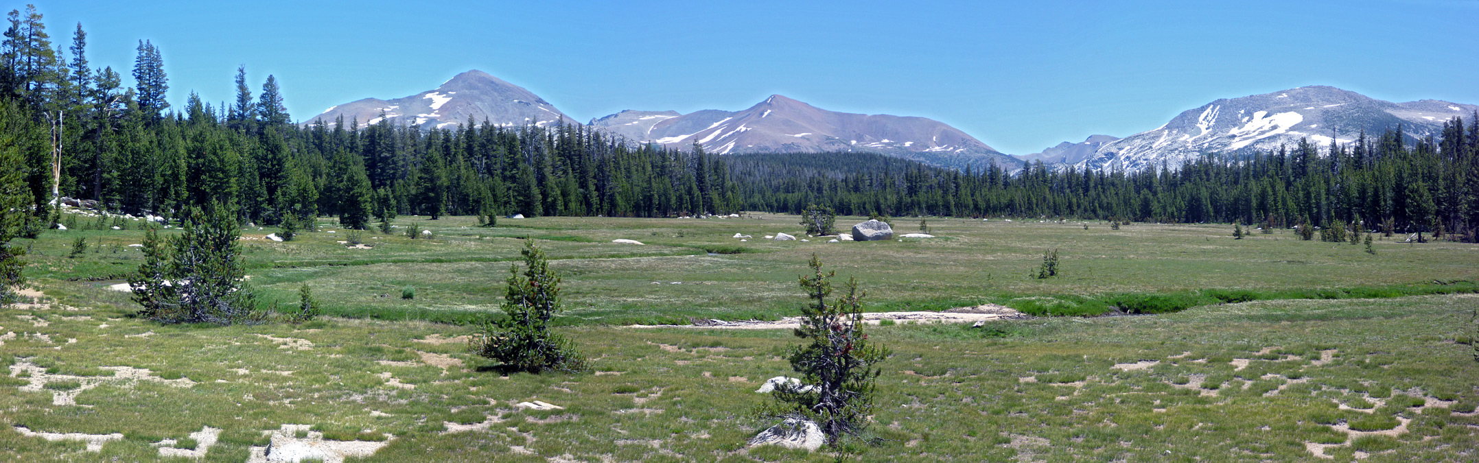 Meadow around Delaney Creek