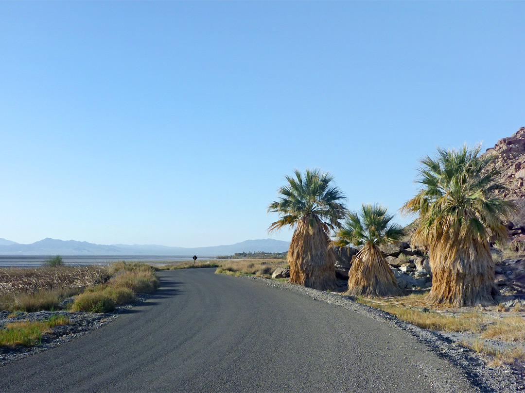 Zzyzx Road