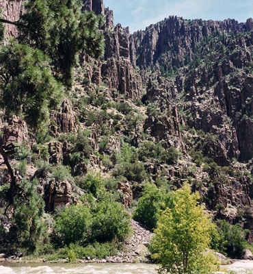 Wooded cliffs