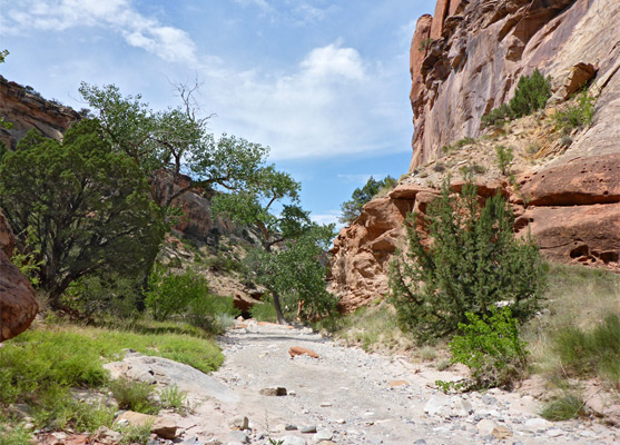 Dry streambed at the south end of the box canyon