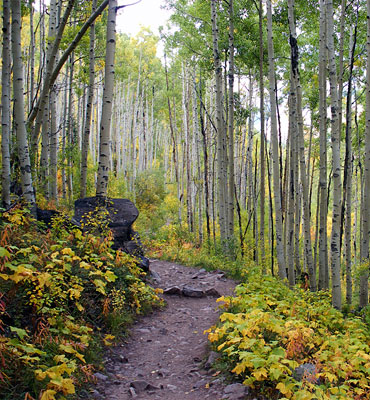 Crater Lake Trail, Maroon Bells, Colorado